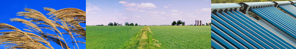 Crops, our field and hot water heaters Crops, our field and hot water heaters